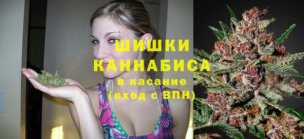 дживик Волосово